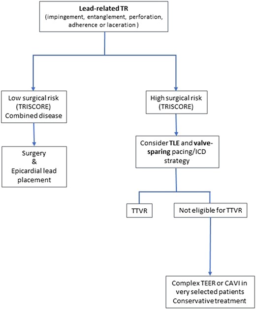 Treatment algorithm of cardiac implantable electronic device-related tricuspid regurgitation. CAVI, caval valve implantation; ICD, implantable cardioverter defibrillator; TEER, transcatheter edge-to-edge repair; TLE, transvenous lead extraction; TR, tricuspid regurgitation; TTVR, transcatheter tricuspid valve replacement.