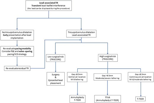 Treatment algorithm of cardiac implantable electronic device-associated tricuspid regurgitation. ICD, implantable cardioverter defibrillator; TEER, transcatheter edge-to-edge repair; TLE: transvenous lead extraction; TR, tricuspid regurgitation; TTVR, transcatheter tricuspid valve replacement.