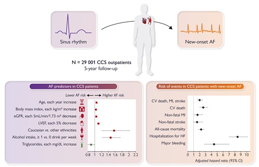 Predictors and outcomes associated with new-onset atrial fibrillation in patients with chronic coronary syndrome. AF, atrial fibrillation; CCS, chronic coronary syndrome; CI, confidence interval; CV, cardiovascular; eGFR, estimated glomerular filtration rate; HF, heart failure; LVEF, left ventricular ejection fraction; MI, myocardial infarction.18