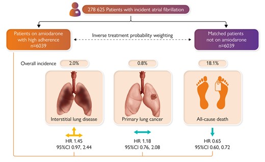 In a historical database from a large health maintenance organization, atrial fibrillation (AF) patients who were exposed to continuous amiodarone treatment had no to marginally higher risk for interstitial lung disease (ILD), similar risk for primary lung cancer (PLC), and lower risk of all-cause death compared with patients not exposed to amiodarone. The results were replicated in several sensitivity analyses including intention-to-treat and as-treated target emulation trials. CI, confidence interval; HR, hazard ratio.20