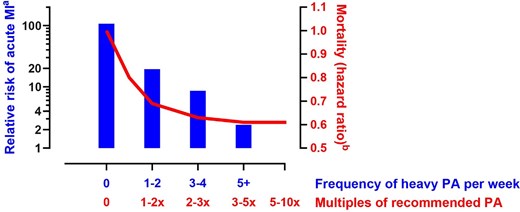 Relationship between habitual heavy physical activity (PA) and acute risk of acute myocardial infarction during acute vigorous exercise bouts (left y-axis). The right y-axis depicts the mortality hazard ratio estimates of exercise levels compared with the recommended minimum leisure-time physical activity of 7.5 metabolic equivalent hours per week. Adapted from data by Mittleman et al.68 and Arem et al.69
