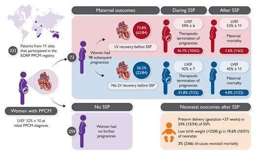 Outcome of pregnancies in women with a previously diagnosed Peripartum Cardiomyopathy. EORP, EuroObservational Research Programme; LV, left ventricular; LVEF, LV ejection fraction; PPCM, peri-partum cardiomyopathy; SSP, subsequent pregnancy.14