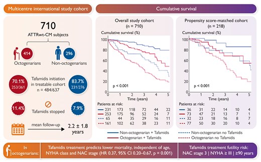 Treatable cohort: since tafamidis availability for ATTRwt-CM indication. ATTRwt-CM, wild-type transthyretin cardiomyopathy; CI, confidence interval; HR, hazard ratio; NAC, National Amyloidosis Centre prognostic stage; NYHA, New York Heart Association.24
