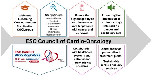 Key strategic pillars of the ESC Council of Cardio-Oncology include education and training, research, quality of care, and advocacy. Partnerships with national and international societies, healthcare systems, and the adoption of technological advancements are essential for achieving sustainable cardio-oncology services