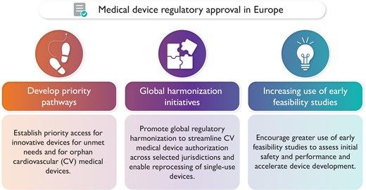 Potential strategies to help transform the current European medical device regulatory system into a more efficient, predictable, cost-effective, and user-friendly service