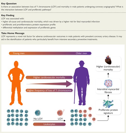 Y染色体の喪失が心疾患の新たなリスク要因であることを発見 (Loss of the Y chromosome discovered as a new risk factor for heart disease) Y染色体の喪失が心疾患の新たなリスク要因であることを発見 (Loss of the Y chromosome discovered as a new risk factor for heart disease)