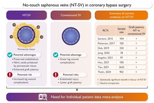 SV, saphenous vein. Parts of the figure were drawn using images from Servier Medical Art (smart.servier.com). Servier Medical Art by Servier is licensed under a Creative Commons Attribution 4.0 License (https://creativecommons.org/licenses/by/4.0/).