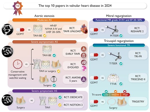 The top 10 papers in valvular heart disease in 2024. AS, aortic stenosis; BE, balloon expandable; EF, ejection fraction; GDMT, guideline-directed medical therapy; HFrEF, heart failure with reduced ejection fraction; MR, mitral regurgitation; M-TEER, mitral transcatheter edge-to-edge repair; RCT, randomized controlled trial; TAVI, transcatheter aortic valve implantation; TR, tricuspid regurgitation; T-TEER, tricuspid transcatheter edge-to-edge repair; TTVR, transcatheter tricuspid valve replacement. RCTs: means superiority and no difference between groups; registry: means superiority, benefit in subgroups, and no difference.