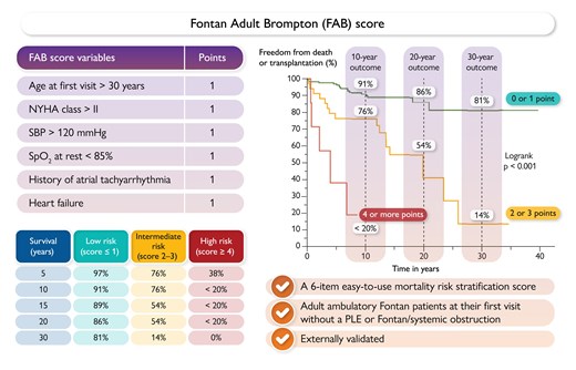 The Fontan Adult Brompton (FAB) score. NYHA, New York Heart Association; PLE, protein-losing enteropathy; SBP, systolic blood pressure; SpO2%, arterial oxygen saturation.20
