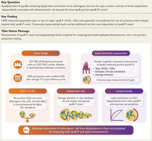 Structured Graphical Abstract