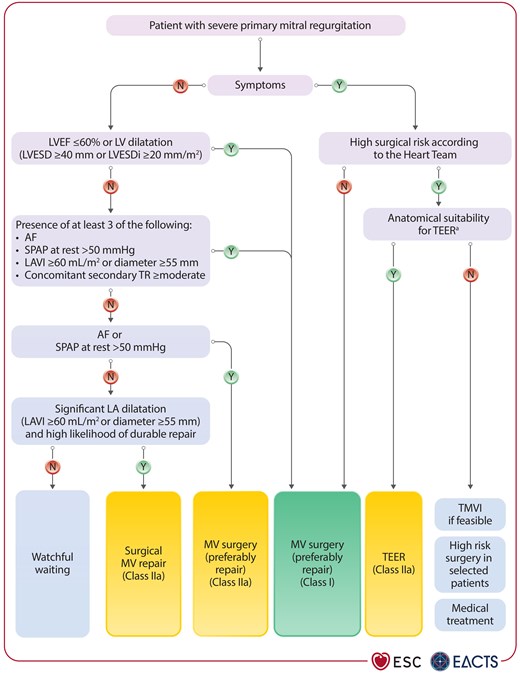 Management of patients with severe primary mitral regurgitation.