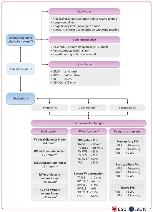 Echocardiographic and invasive assessment of tricuspid regurgitation.