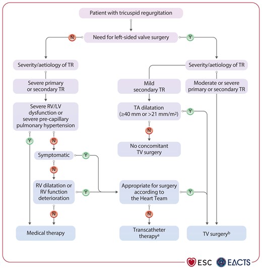 Management of patients with tricuspid regurgitation.