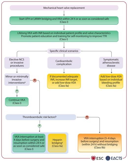 Antithrombotic therapy following mechanical heart valve implantation.