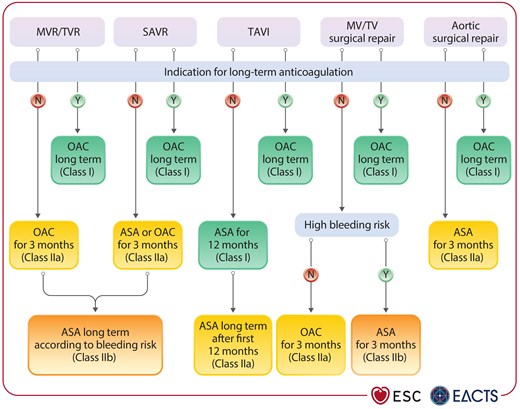Antithrombotic therapy following biological heart valve implantation or surgical valve repair.