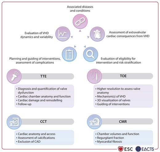 Integrative imaging assessment of patients with valvular heart disease.