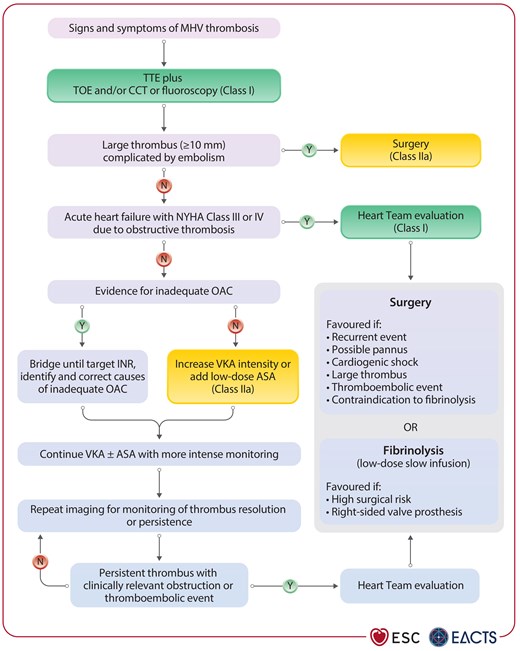 Management of left-sided obstructive and non-obstructive mechanical heart valve thrombosis.