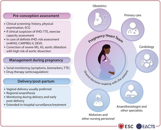 The Pregnancy Heart Team model of care.