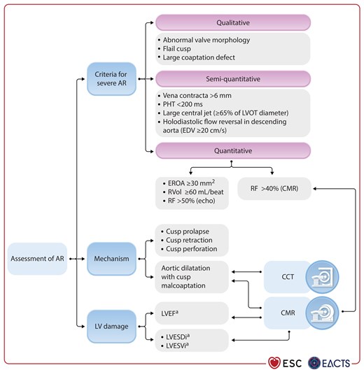Imaging assessment of patients with aortic regurgitation.
