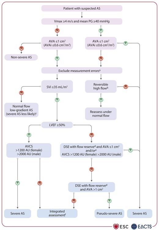Integrative imaging assessment of patients with aortic stenosis.