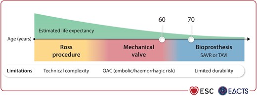 Aortic valve treatment options.
