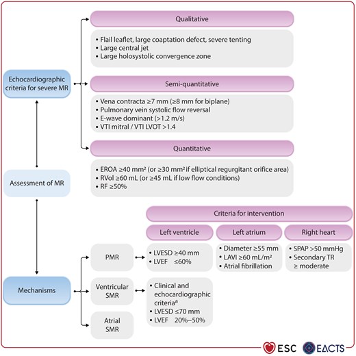 Echocardiographic assessment of patients with mitral regurgitation.