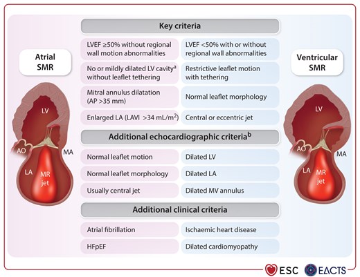 Most frequently used criteria for the diagnosis of atrial secondary mitral regurgitation.