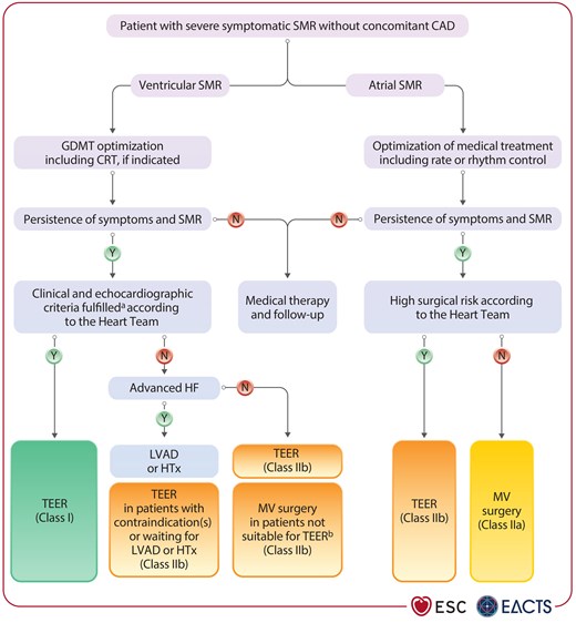 Treatment of severe secondary mitral regurgitation without concomitant coronary artery disease.