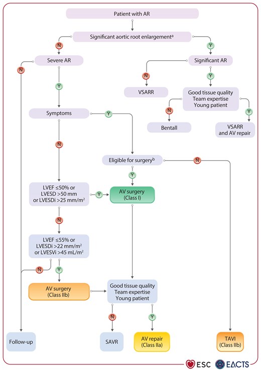 Management of patients with aortic regurgitation.