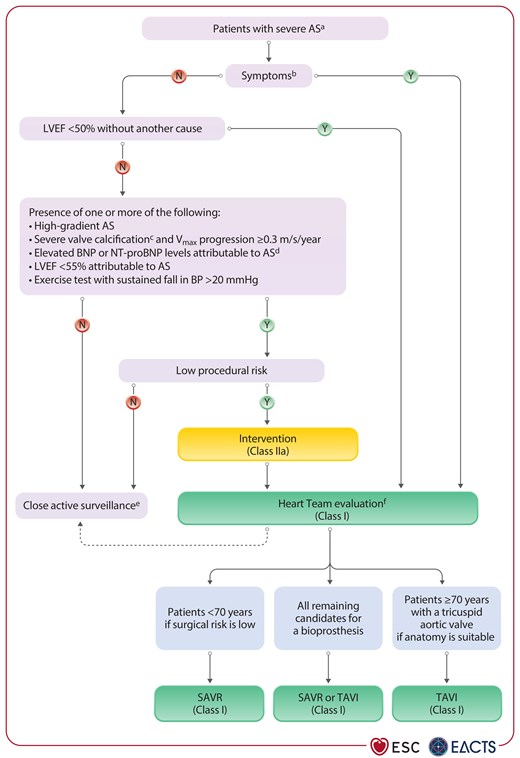Management of patients with severe aortic stenosis.