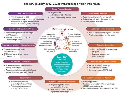 Summary of main achievements of ESC Board Committees and Task Forces 2022–2024