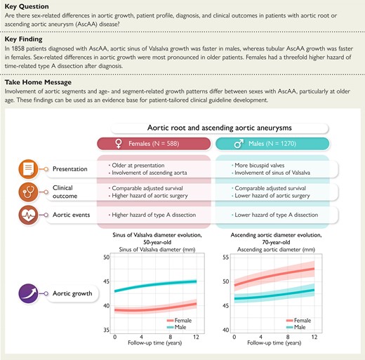 Comparative analysis of long-term clinical outcome and segment-specific aortic growth in males and females diagnosed with an aortic root and/or ascending aortic aneurysm. AscAA, ascending aortic aneurysm.