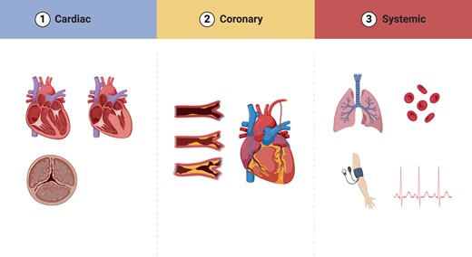Susceptibility to type 2 myocardial infarction. Multiple factors contribute to an individual patient’s susceptibility to myocardial oxygen supply or demand imbalance. Patient, coronary, and structural factors are all important, some of which may be modifiable and could plausibly reduce the likelihood of recurrent events