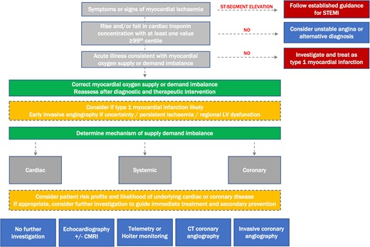 Diagnostic algorithm for the evaluation of patients with myocardial ischaemia in clinical practice. The clinician determines if a patient has evidence of myocardial ischaemia, either based on symptoms or electrocardiogram criteria. Where electrocardiogram evidence of ST-segment elevation exists, established pathways are followed. In patients without a rise and/or fall in cardiac troponin, differential diagnoses are considered. In those with evidence of supply or demand imbalance, this is corrected where possible. A reassessment is undertaken to identify if symptoms or signs of ischaemia persist, and the diagnosis of type 1 myocardial infarction considered. A clinical assessment of the mechanism of type 2 myocardial infarction is made, and additional investigations considered on the basis of risk profile, mechanism, and likelihood of cardiac disease to guide immediate treatment and secondary prevention. STEMI, ST-segment elevation myocardial infarction; CMRI, cardiac MRI; CT, computed tomography