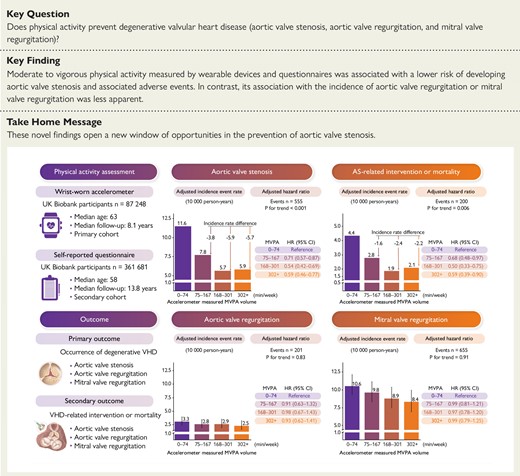 Moderate to vigorous physical activity volume and degenerative valvular heart disease risk. CI, confidence interval; HR, hazard ratio; MVPA, moderate to vigorous physical activity; VHD, valvular heart disease.