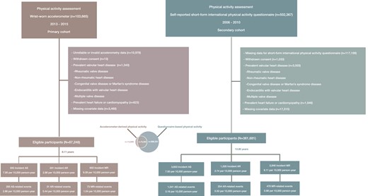 Flowchart of the study. The Venn diagram illustrates the number of individuals who completed either the accelerometer-based physical activity assessment, the questionnaire-based physical activity assessment, or both. AS, aortic valve stenosis; AR, aortic valve regurgitation; MR, mitral valve regurgitation