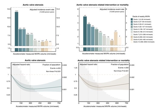 Dose–response relationship between moderate to vigorous physical activity volume and risk of aortic valve stenosis and related events. Upper panel: Absolute risk of aortic valve stenosis and related events across deciles of moderate to vigorous physical activity volume groups. The adjusted incidence rate, reported as per 10 000 person-years, was estimated using Poisson regression models with time since MVPA measurement as the timescale. Adjustments were made for age, sex, ethnicity, Townsend deprivation index, education, smoking status, alcohol intake, diet quality, sleep duration, and discretionary screen time. Lower panel: Relative risk of aortic valve stenosis and related events. The adjusted hazard ratio was estimated using Cox proportional hazard models with age as the timescale. Adjustments were made for sex, ethnicity, Townsend deprivation index, education, smoking status, alcohol intake, diet quality, sleep duration, and discretionary screen time. The solid line represents the adjusted hazard ratio, with the ribbon indicating the 95% confidence interval. The grey area denotes the proportion of the population (units: 30 min/week). MVPA, moderate to vigorous physical activity.