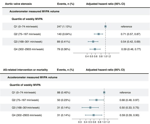 Adjusted hazard ratio for aortic valve stenosis and related events by quartiles of moderate to vigorous physical activity volume. The adjusted hazard ratio was estimated using Cox proportional hazard models, with age as the timescale. Adjustments were made for sex, ethnicity, Townsend index of deprivation, education, smoking status, alcohol intake, diet score, sleep duration, and discretionary screen time. AS, aortic valve stenosis; CI, confidence interval; MVPA: moderate to vigorous physical activity.