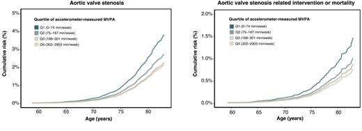 Adjusted survival curves for the risk of aortic valve stenosis and related events across quartiles of moderate to vigorous physical activity volume. Adjusted survival curves were estimated using Cox proportional hazard models, with age as the timescale. Adjustments were made for sex, ethnicity, Townsend index of deprivation, education, smoking status, alcohol intake, diet score, sleep duration, and discretionary screen time. MVPA, moderate to vigorous physical activity.