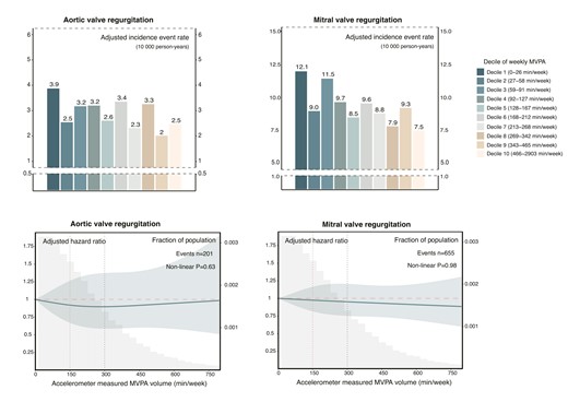 Dose–response relationship between moderate to vigorous physical activity volume and risk of aortic valve regurgitation and mitral valve regurgitation. Upper panel: Absolute risk of aortic valve regurgitation and mitral valve regurgitation across deciles of moderate to vigorous physical activity volume groups. The adjusted incidence rate, reported as per 10 000 person-years, was estimated using Poisson regression models with time since MVPA measurement as the timescale. Adjustments were made for age, sex, ethnicity, Townsend deprivation index, education, smoking status, alcohol intake, diet quality, sleep duration, and discretionary screen time. Lower panel: Relative risk of aortic valve regurgitation and mitral valve regurgitation. The adjusted hazard ratio was estimated using Cox proportional hazard models, with age as the timescale. Adjustments were made for sex, ethnicity, Townsend deprivation index, education, smoking status, alcohol intake, diet quality, sleep duration, and discretionary screen time. The solid line represents the adjusted hazard ratio, with the ribbon indicating the 95% confidence interval. The grey area denotes the proportion of the population (units: 30 min/week). MVPA, moderate to vigorous physical activity.