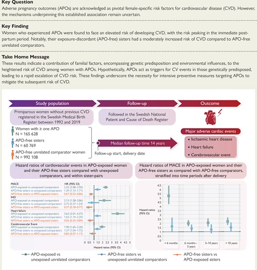 A summary of the study population, methods, and main findings. APO, adverse pregnancy outcome; CI, confidence interval; CVD, cardiovascular disease; HR, hazard ratio; IHD, ischaemic heart disease, MACE, major adverse cardiac event.