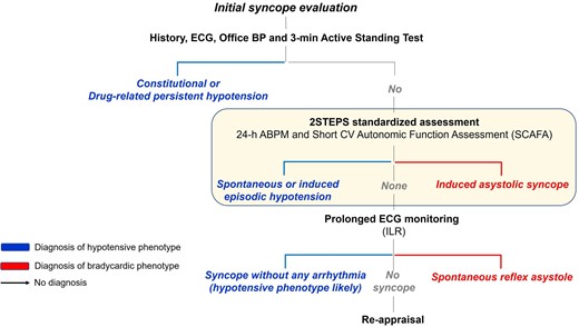 Diagnostic work-up of autonomic syncope by mechanism. The initial evaluation consists of history taking, standard 12-lead ECG, and automated blood pressure measurement supine and during 3 min of active standing. During the initial evaluation, persistent hypotension (either constitutional or drug-related) and the initial and classical forms of orthostatic hypotension can be identified, and cardiac or non-syncopal causes of transient loss of consciousness are excluded from further assessment. When the results of the initial evaluation are unremarkable, the second phase consists of 24 h ambulatory blood pressure monitoring and Short Cardiovascular Autonomic Function Assessment performed during continuous ECG and BP monitoring as described in this study. Finally, an implantable loop recorder is usually needed if uncertainty persists on the mechanism of syncope. Modified with permission from Brignole et al.4