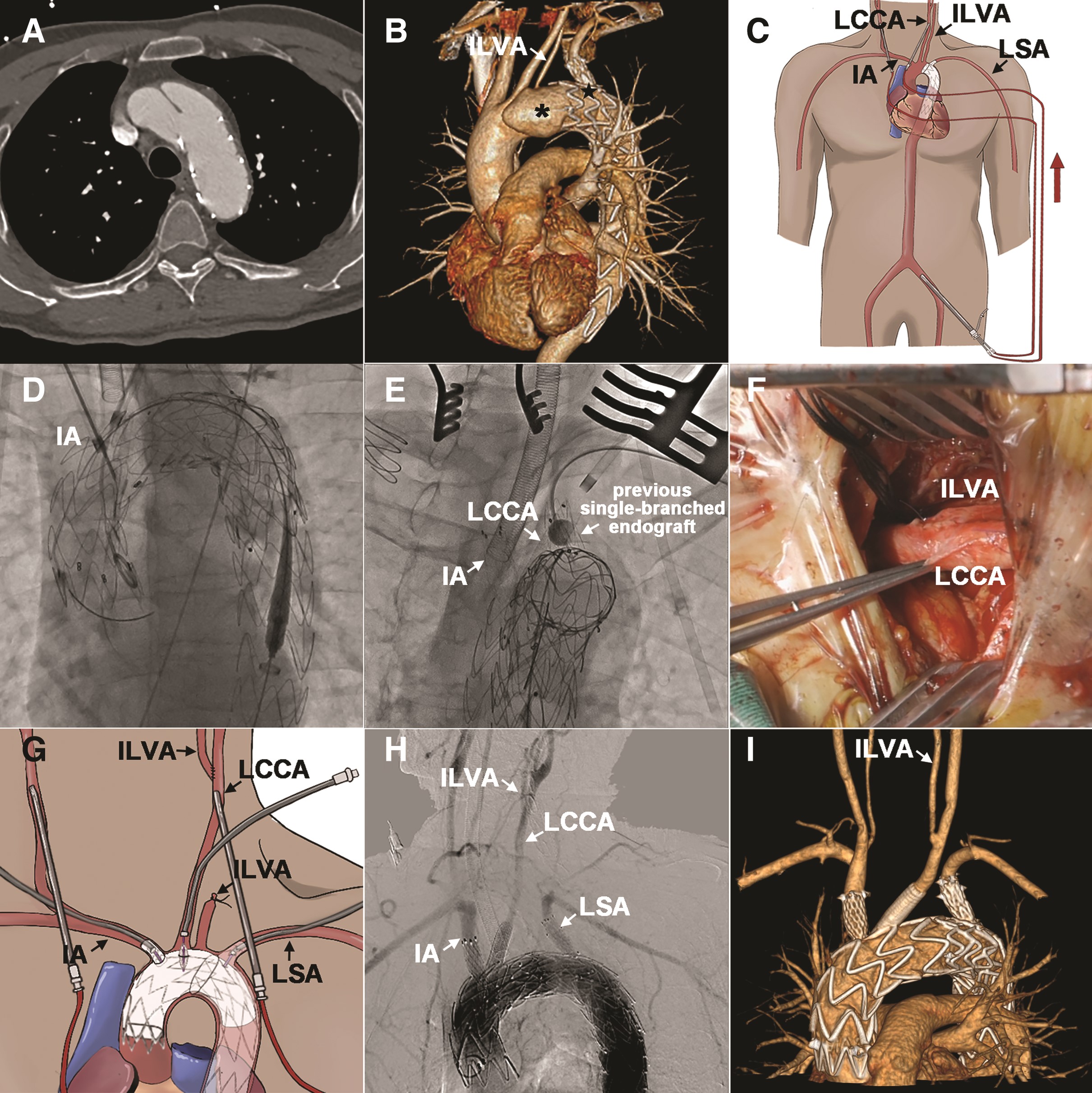 issue cover
