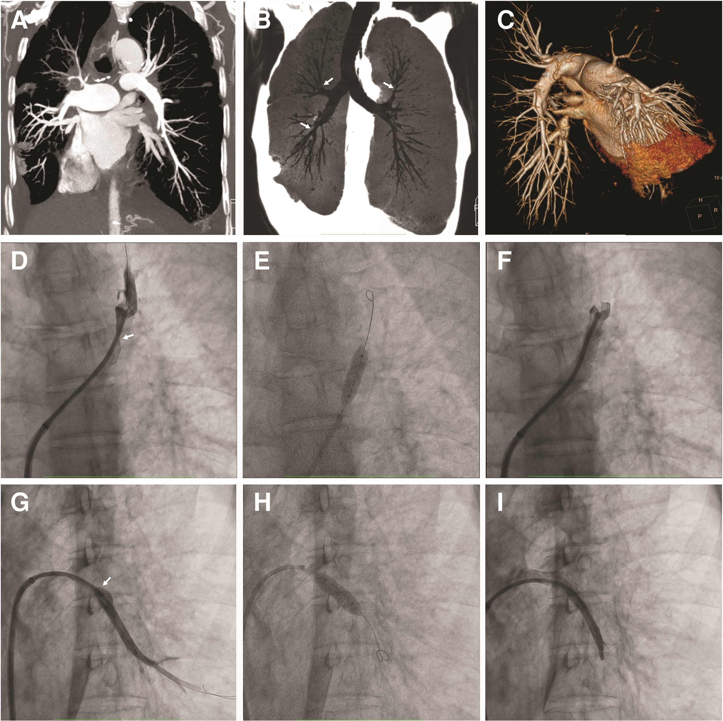 issue cover