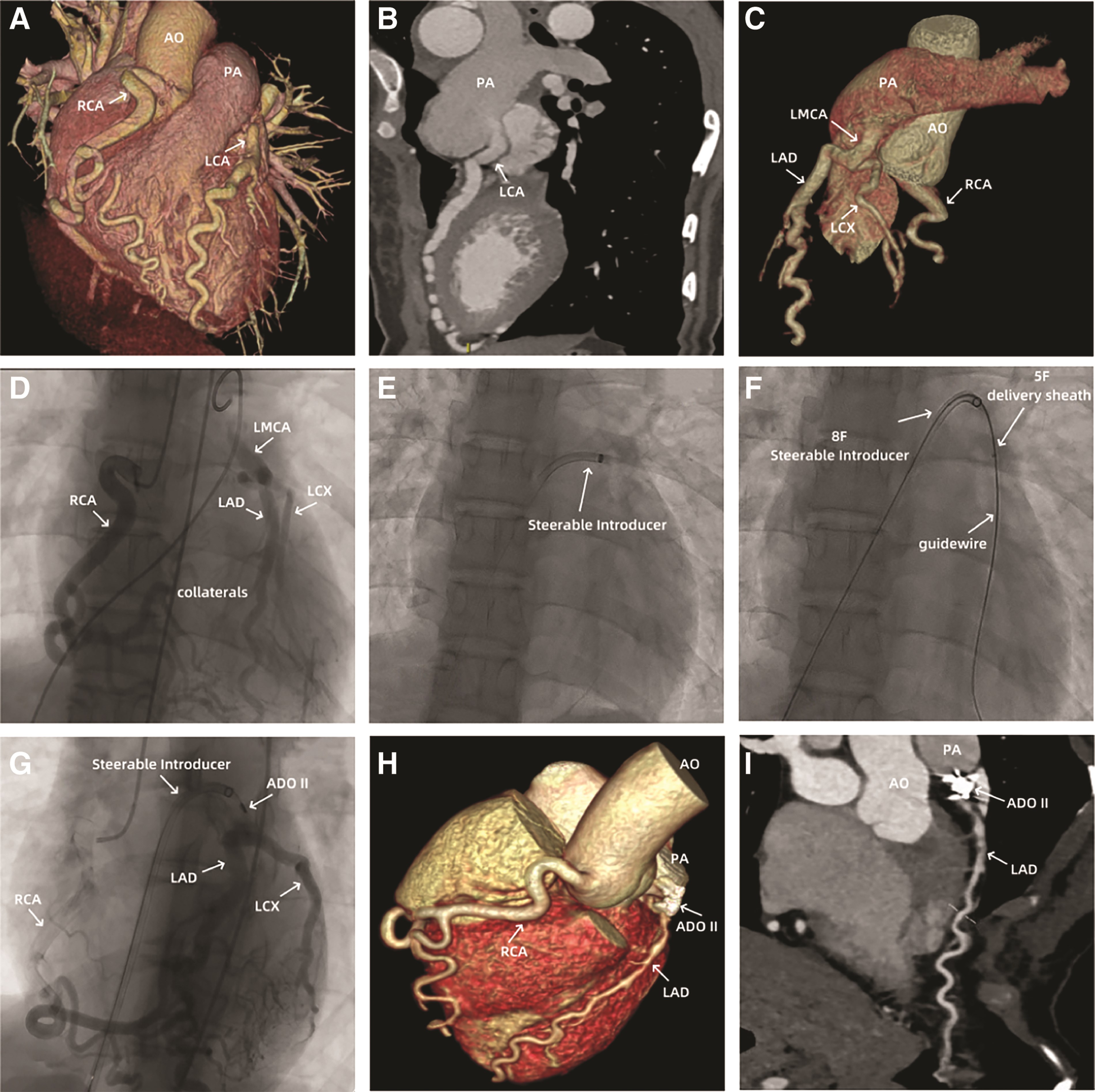 issue cover