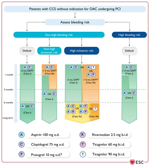 Antithrombotic treatment in chronic coronary syndrome patients undergoing percutaneous coronary intervention.