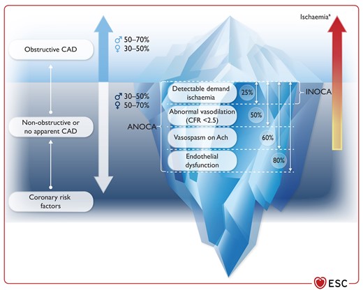 Prevalence of disease characteristics in patients with ANOCA/INOCA referred for invasive coronary functional testing.