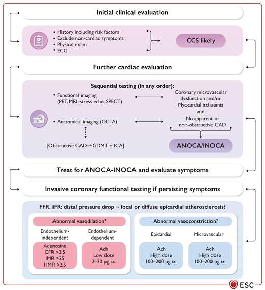 Diagnostic algorithm for patients with angina/ischaemia with non-obstructive coronary arteries.