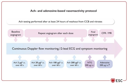 Spasm provocation and functional testing protocol.