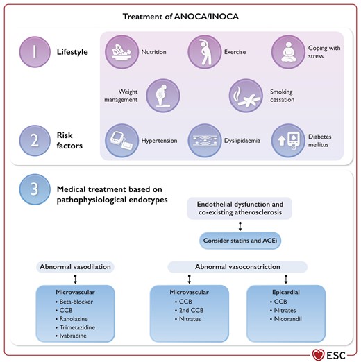 Treatment of angina/ischaemia with non-obstructive coronary arteries.